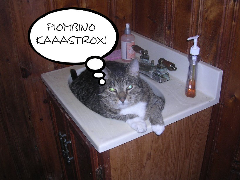 Piombino Catstrox