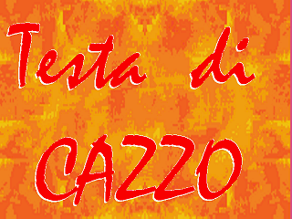 testa di cazzo