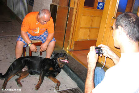 La mascotte - Metaphoto