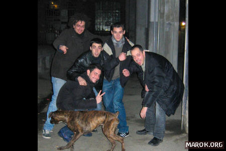 Neanche un cane li caga