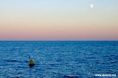 Sorge la luna