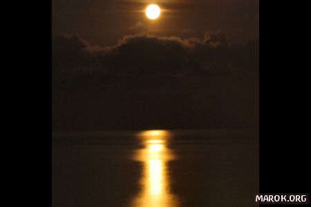 Luna piena, crescono i peli!
