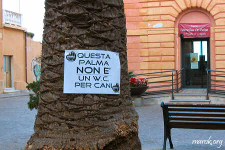 La palma del bisogno