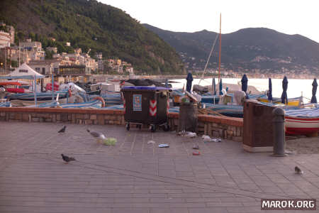 La festa dei gabbiani!