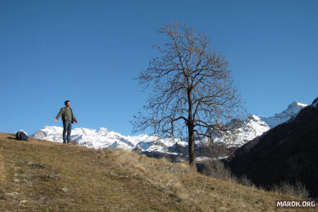 Uno zaino, un Fabbro e una pianta. Chi buttiamo dalla montagna?