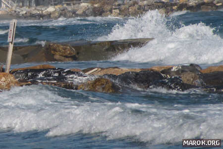 I primi skizzi del 2026