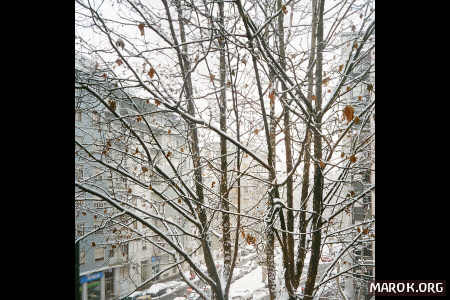 Il risveglio: neve a casa Marok