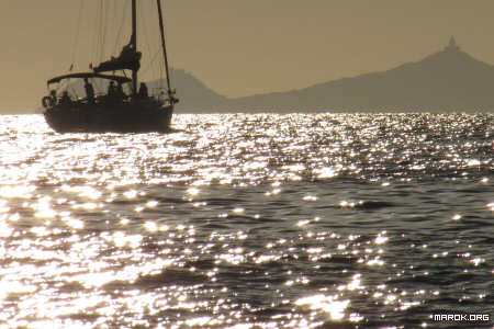 Lupi di mare