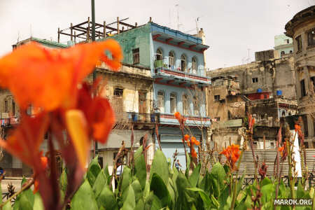 Mettete fiori nei vostri cannoni. Per il tabacco, fate voi... siamo a Cuba!