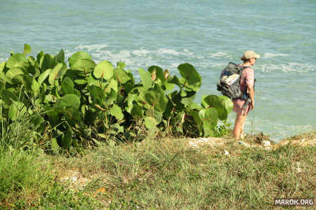 Rotta verso la spiaggia