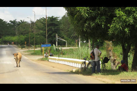 Destinazione Baracoa - #1