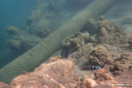 Baracoa sottomarina - #2