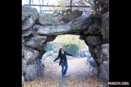 Formytesa autunnale