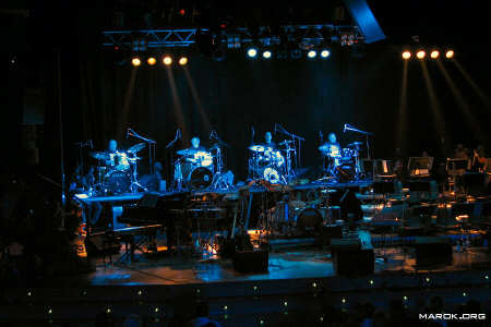 Drummeria in blue