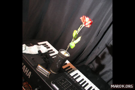 Rose in Piano