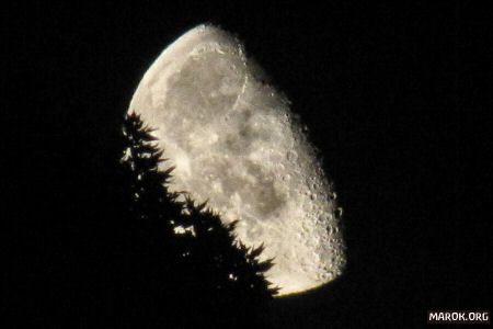 Mi fa una striscia di Luna? Grazie! Quanto devo?