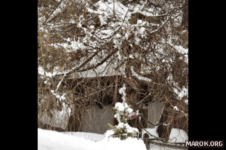 Secondo me, là sotto c´è un albero di Natale