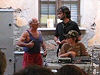 Kontestazione
