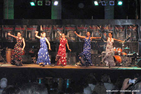 Flamenco - #1