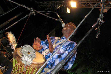 Adi Thioune - #3