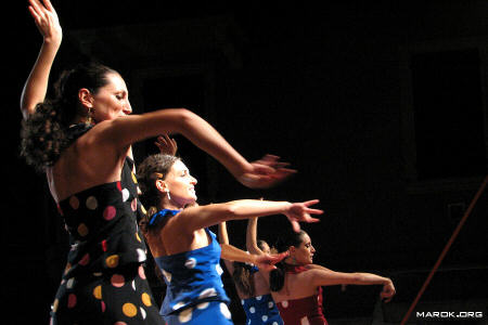 Flamenco - #2