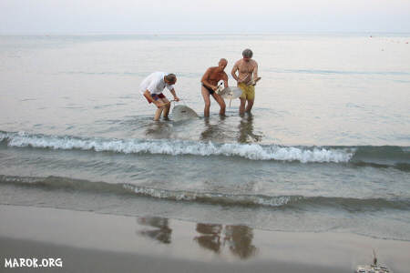 Percussionisti in mare!