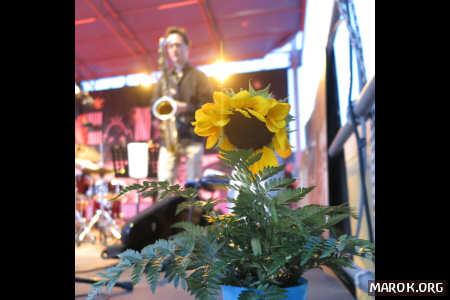 Ai miei tempi i fiori si bagnavano