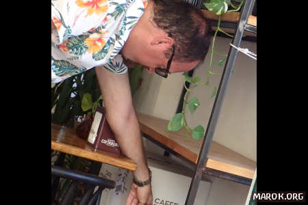 Non sembrate della stessa specie