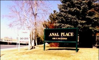 Anal Place