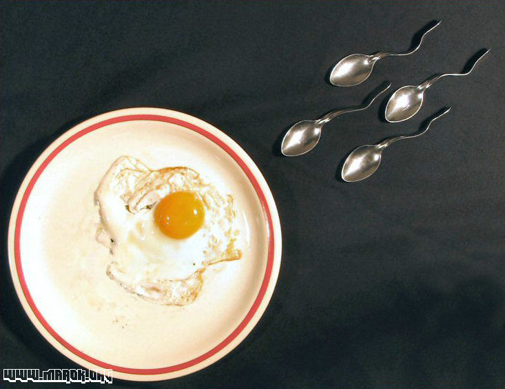 Egg sperm