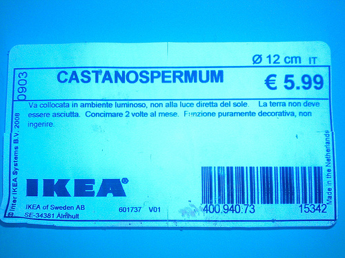 Castano Spermum
