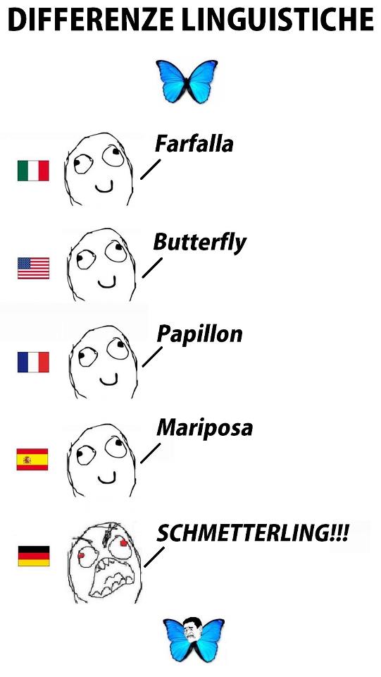 Differenze linguistiche