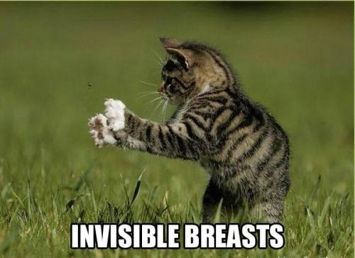 Invisible breasts