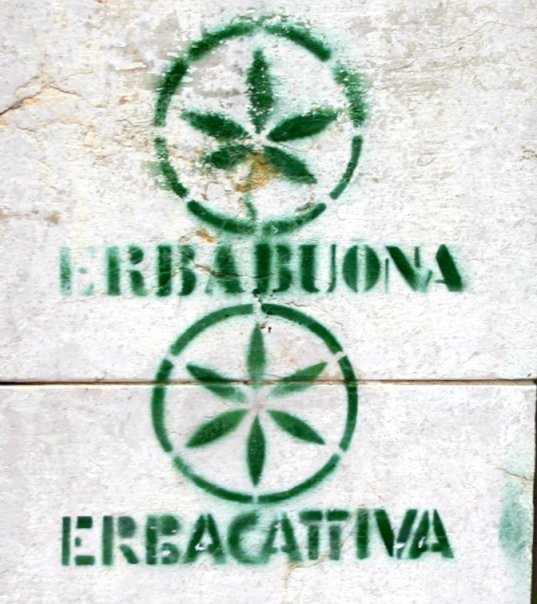 erba