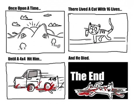 The cat with 16 lives