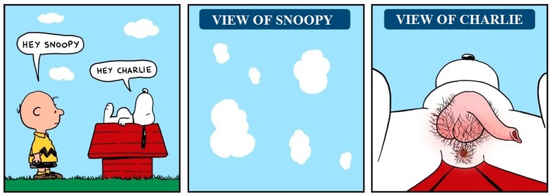 Snoopy & Linus points of view