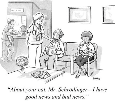 Schroedinger