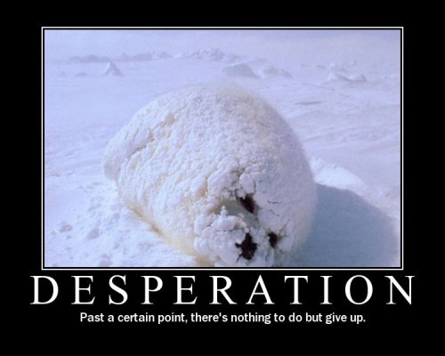 Desperation: past a certain point, there's nothing to do but give up