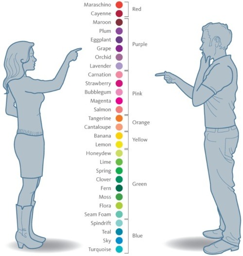 How man and woman see colors