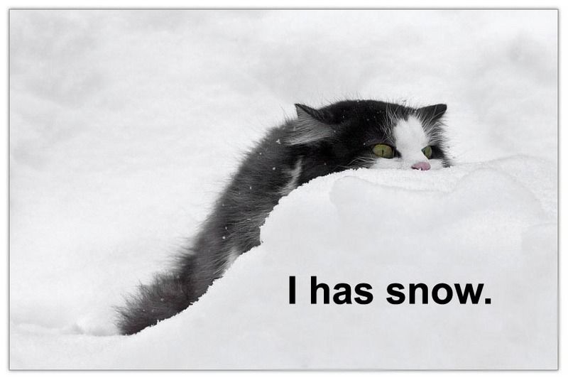 I has snow