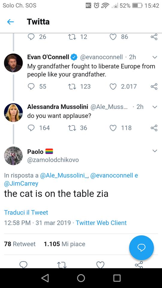 The cat is on the table