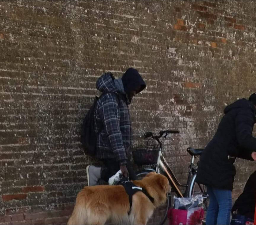 Un signore porta a spasso il cane e...