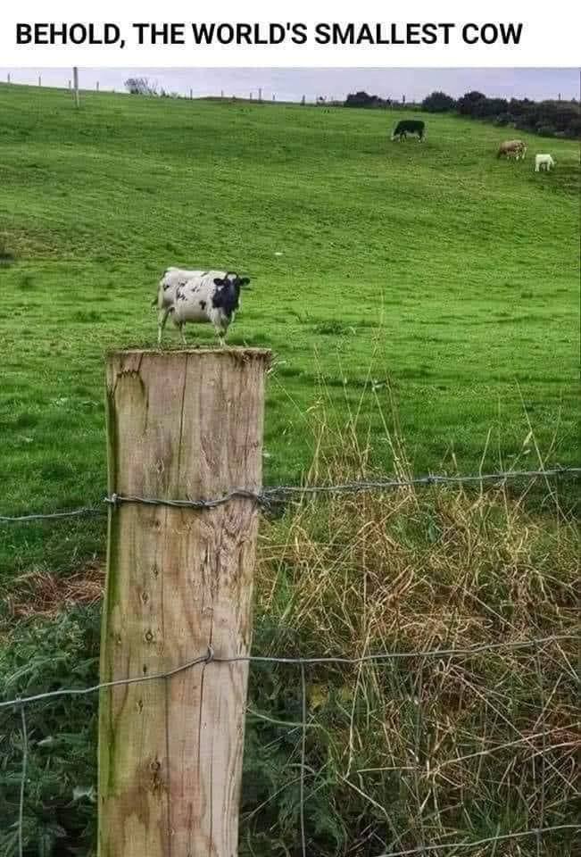 Profondità di campo