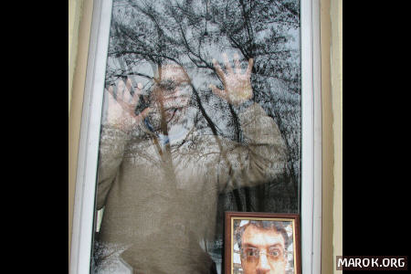 Don Diego in Windows