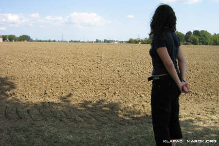 Formy contemplativa