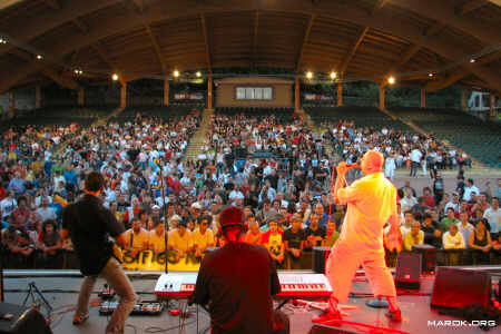 Pubblico rock - #10
