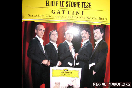 Cartonato felino