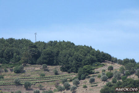 View from Hotel Corallo - Lato B - 20x