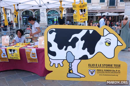 Anche la grafica ha il suo perché