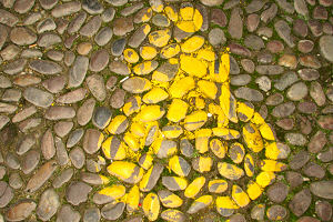 Handicap in Guastalla